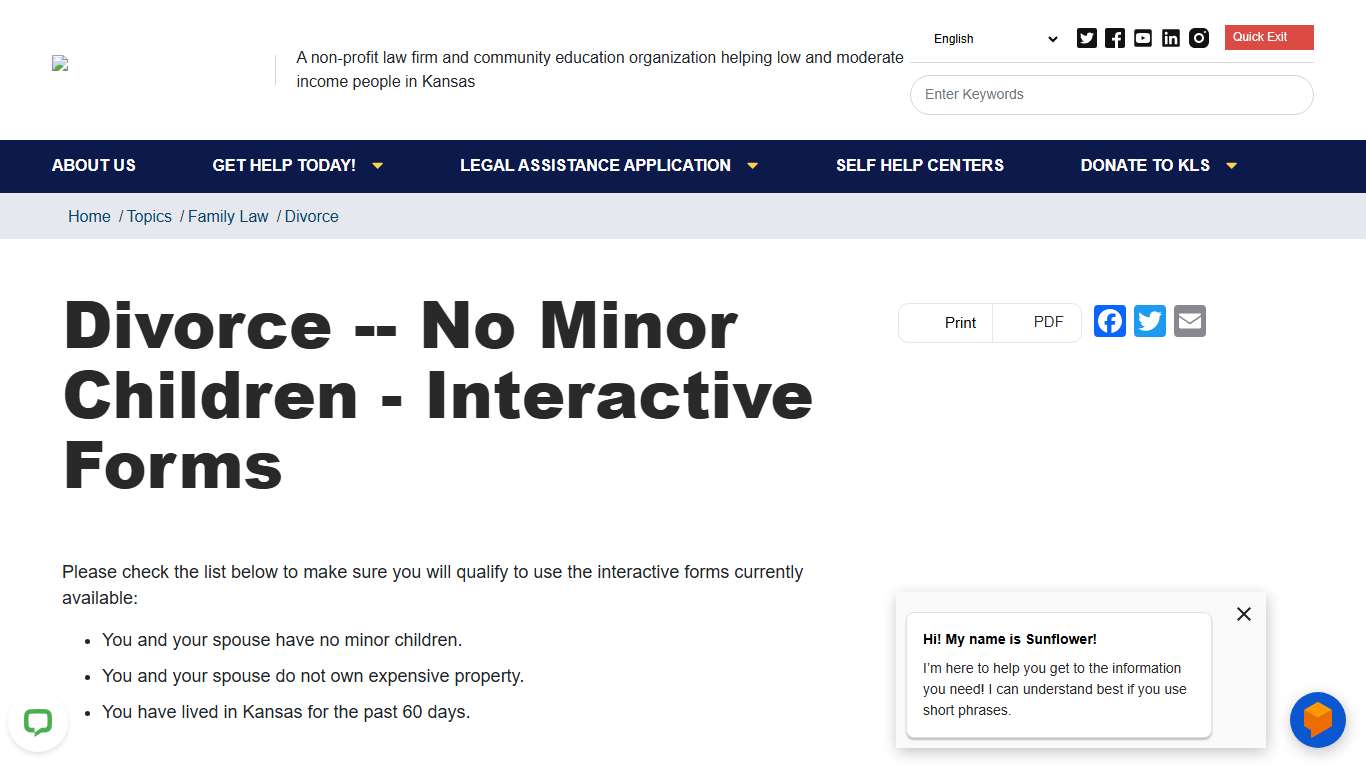 Divorce -- No Minor Children - Interactive Forms Kansas Legal Services